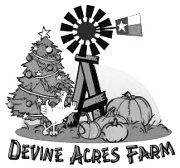 Making memories and traditions, Devine Acres gets into Christmas spirit