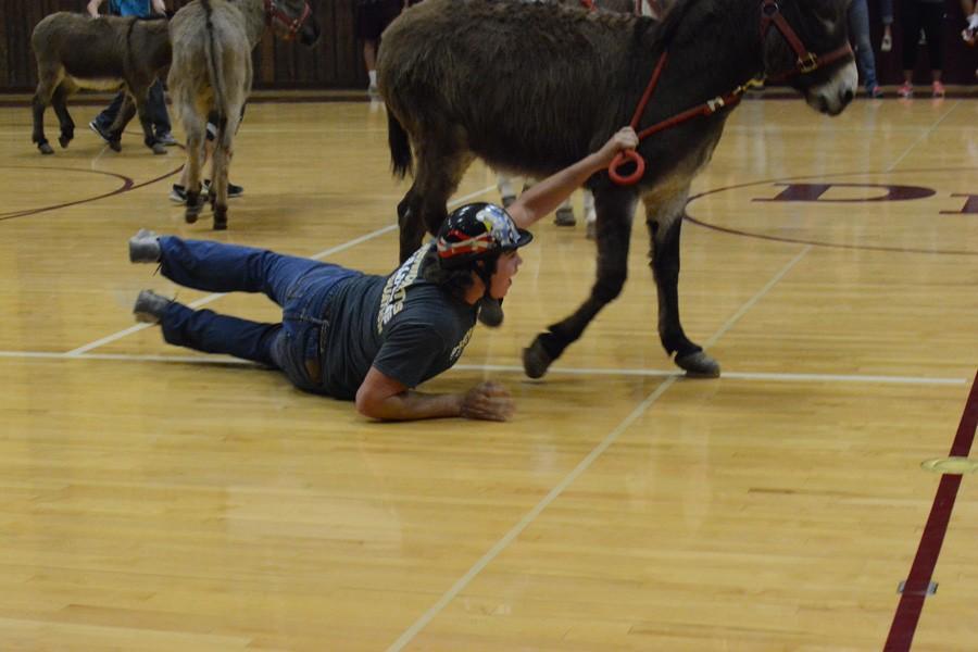 Donkey Basketball