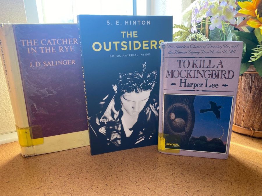 As book banning continues, new titles such as The Outsiders have joined the list that includes To Kill a Mockingbird and Catcher in The Rye.