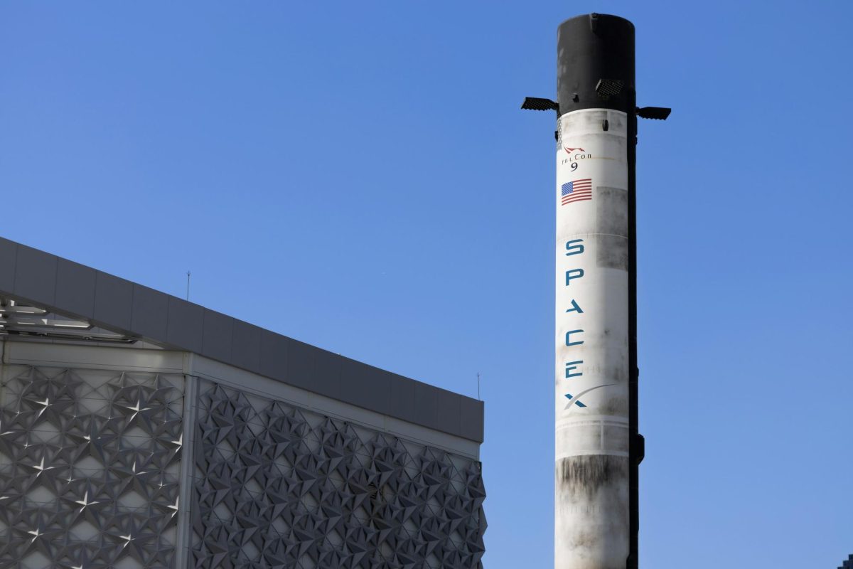 Elon: For the Birds